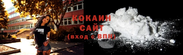 шишки Медвежьегорск