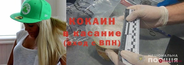 шишки Медвежьегорск