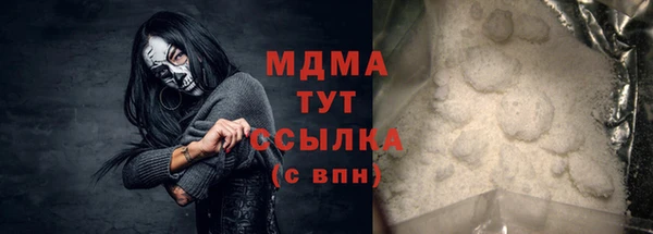 шишки Медвежьегорск