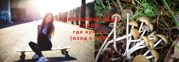 амф Магас