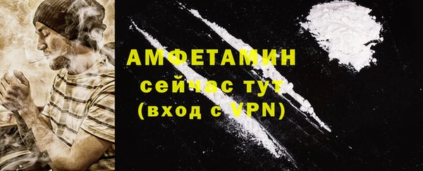 шишки Медвежьегорск