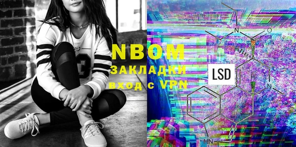 шишки Медвежьегорск