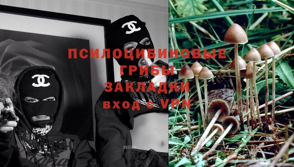 шишки Магадан