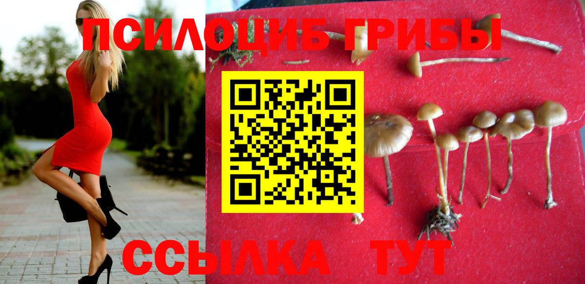 Кунгур  Галлюциногенные грибы мицелий  Вход с VPN 