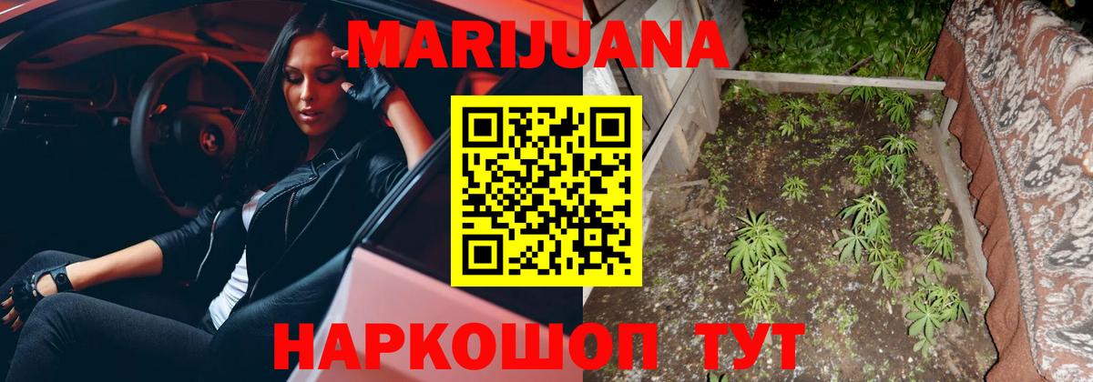 Канабис сатива Кунгур